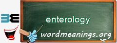 WordMeaning blackboard for enterology